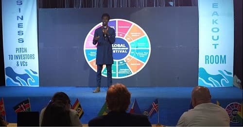 Business Pitch to Investors (EIP)