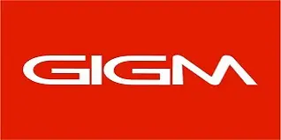 GIG Motors